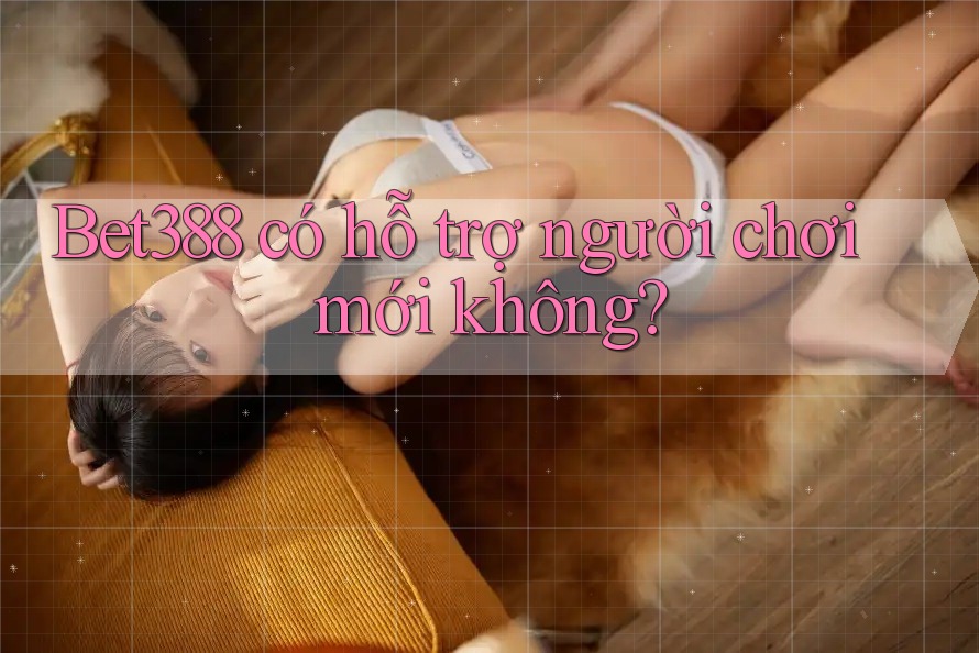Bet388 có hỗ trợ người chơi mới không? Bet388 có hỗ trợ người chơi mới không?