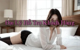 Đại lý Hỗ trợ khách hàng