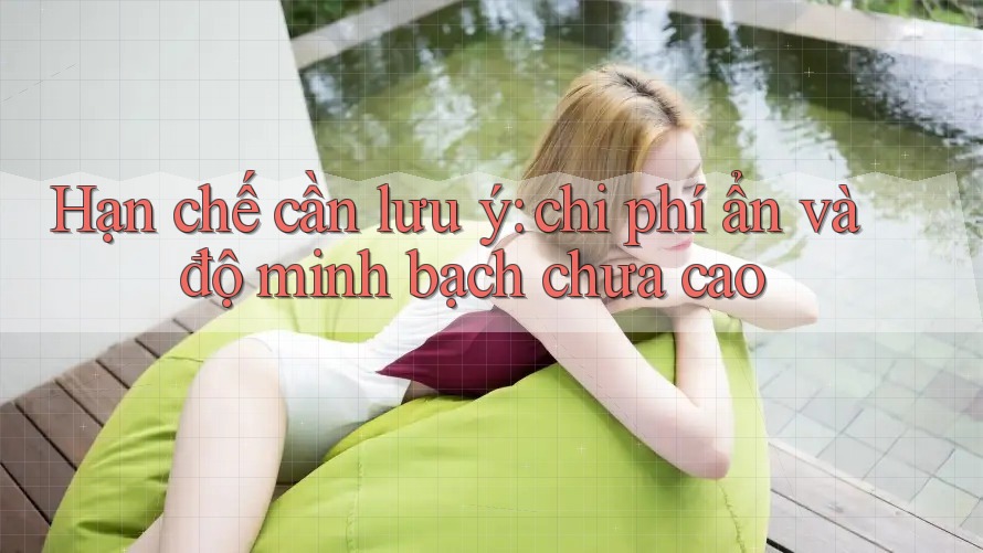 Hạn chế cần lưu ý: chi phí ẩn và độ minh bạch chưa cao Hạn chế cần lưu ý: chi phí ẩn và độ minh bạch chưa cao