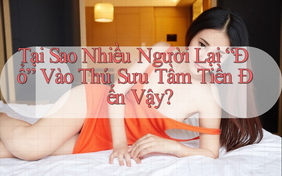 Tại Sao Nhiều Người Lại “Đổ” Vào Thú Sưu Tầm Tiền Đến Vậy? Tại Sao Nhiều Người Lại “Đổ” Vào Thú Sưu Tầm Tiền Đến Vậy?