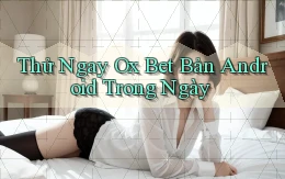 thử ngay ox bet bản android trong ngày