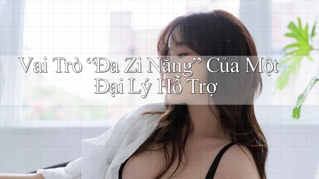 Vai Trò “Đa Zi Năng” Của Một Đại Lý Hỗ Trợ